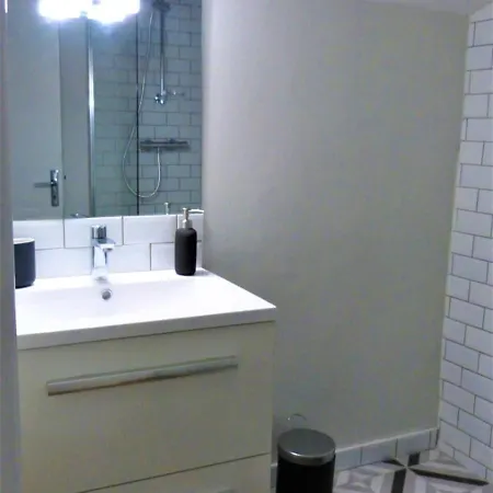 Apartment Josephine 3 Bedrooms Teleworking Saint-Etienne (Loire)